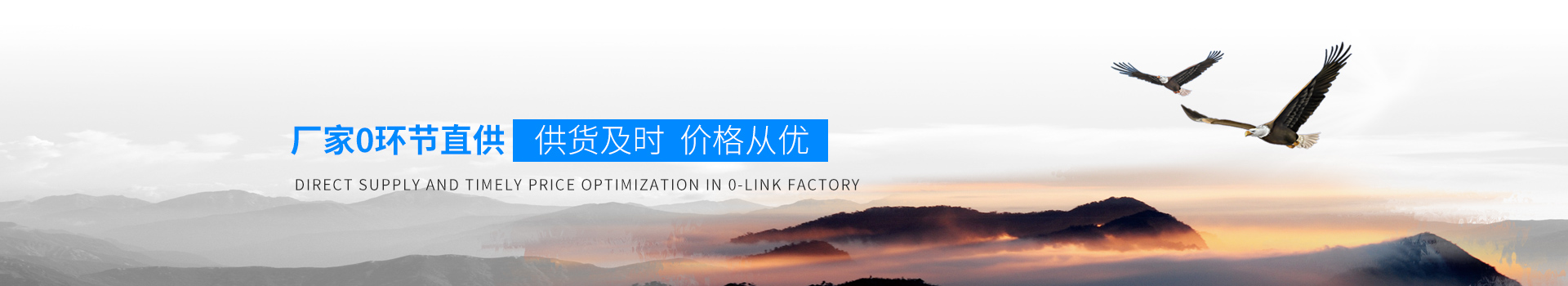 NW TURBO廠家0環(huán)節(jié)直供、供貨及時